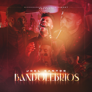 Bandolebrios