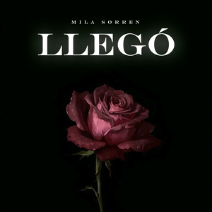 Llegó