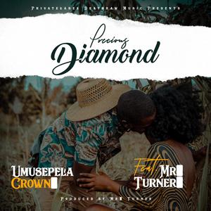 Precious Diamond (feat. Mr. Turner)