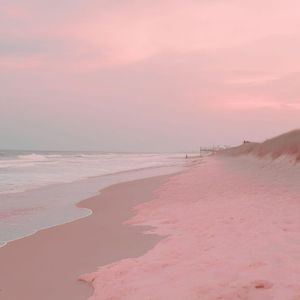 柠夏