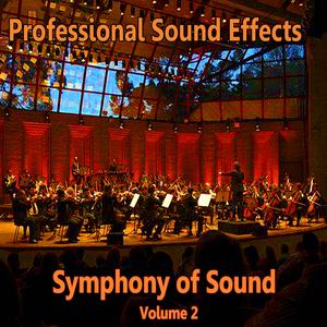 Symphony of Sound Professional Sound Effects 4696