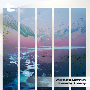 Cybernetic