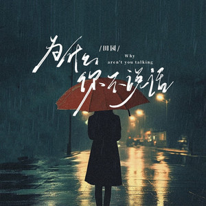 为什么你不说话 (和声伴奏)