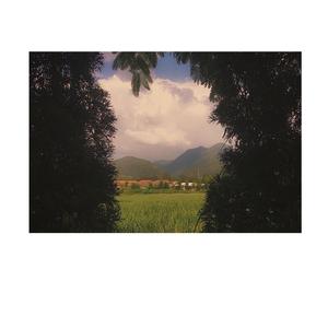 逐夏(prod by.Lisure)