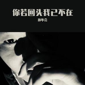 像风一样自由（原许巍）