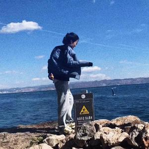 送你一朵山茶花