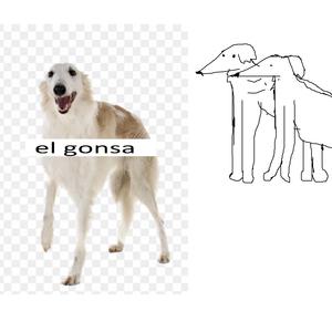 el gonsa ya se fue