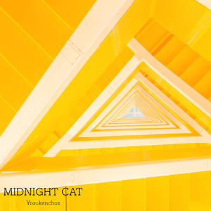 Midnight Cat (feat. 結月ゆかり)