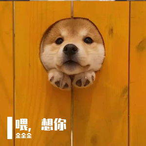 喂，想你