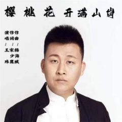 樱桃花开满山岗