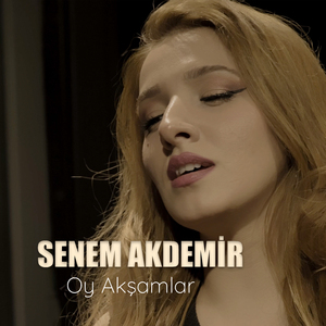 Oy Akşamlar