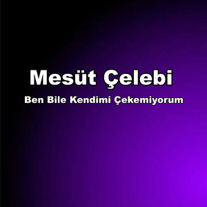 Ben Bile Kendimi Çekemiyorum