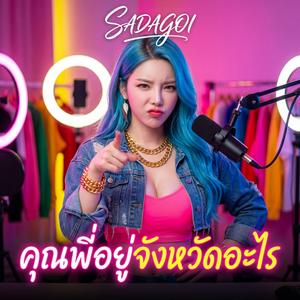 คุณพี่อยู่จังหวัดอะไร