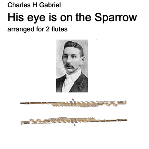 His eye is on the sparrow arranged for 2 flutes