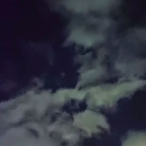 假（killaz）