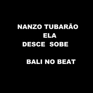 Nanzo Tubarão Ela Desce Sobe Bali no Beat