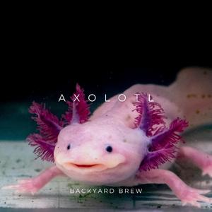 Axolotl