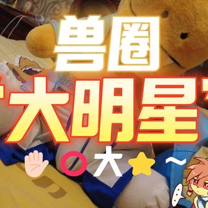 兽圈大明星 伴奏