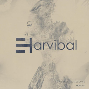 Tension Groove (Original Mix)