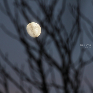 수고한 당신 잘자요