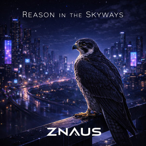 Reason in the Skyways