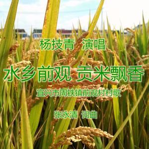 水乡前观贡米飘香（水兵舞）