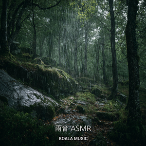 リラックスと癒しのための雨音 ASMR, Pt.4