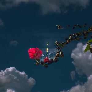 Emplacement (feat. Lo Outlandish)