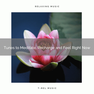 Now the Calmness Runs to You and You Follow