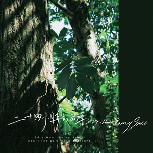 二十四小时的雨季