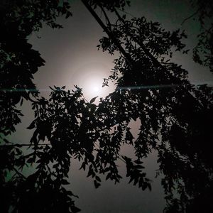 Bulaktiki ay泉星的月亮