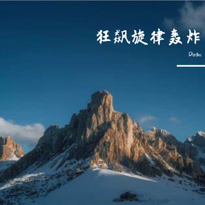 遗憾选择