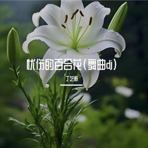 忧伤的百合花(舞曲dj)