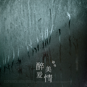 醉美爱情 (伴奏)