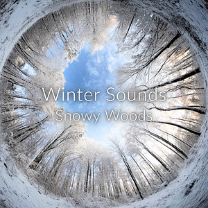 ギターの音でリラックス 眠れない夜に聴く睡眠用BGM (自律神経を整える睡眠用 森 鳥)