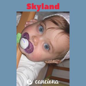 Skyland