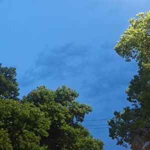 向死而生