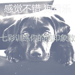 抚慰的小狗回忆