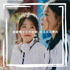 抱歉啊十七岁的我 没活成你要的我