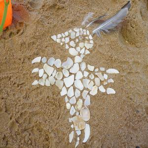 Cangarejo (Feijão Preto)