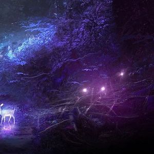 心灵中的宁静 (15)