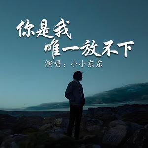 你是我唯一放不下