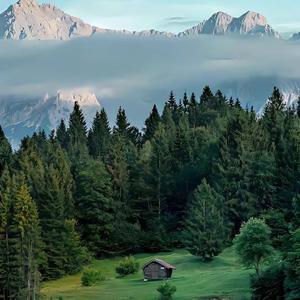 开往早晨的午夜（烟嗓）