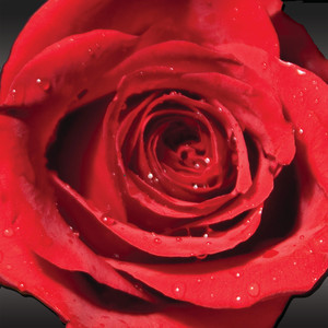 Post Modern Human Primitive