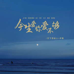 今生爱你爱不够 (对唱版)