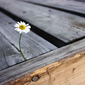 三十岁是个孩子