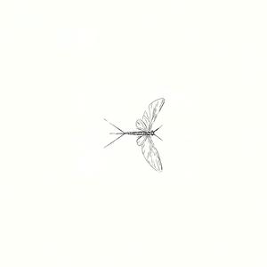 Mayfly (A Day in the Life)