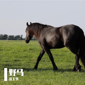 谢谢你，陪我的那天