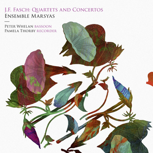 Bassoon Concerto in C Major, FWV L:C2: II. Largo e staccato