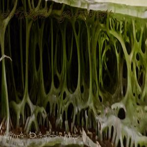 Defenestrated Angel from the Red Skies of Death